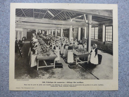 Conserverie De Sardine, étêtage Des Sardines  Vers 1930 ; G 02 - Zonder Classificatie