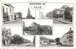 Souvenir De PECQ - Carte Circulé - Pecq