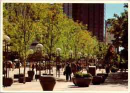 Colorado Denver The 16th Street Mall - Denver