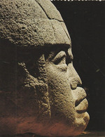 Cabeza Colosal Olmeca Parque Arqueologico Tobasco - Sculptures