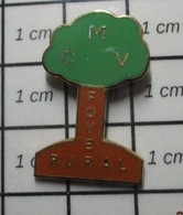 810h Pin's Pins / Beau Et Rare / AUTRES / FOYER RURAL MCV CMV ? ARBRE VERT Peut être ARTHUS BERTRAND ? - Tauchen