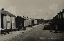 Noordwijk Aan Zee // Leon Senfstraat 1960 - Noordwijk (aan Zee)