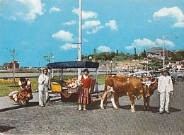 Portugal & Marcofilia, Funchal, Flower And Oxcart Sellers, S. Pedro Do Estoril 1965 (37) - Ferias