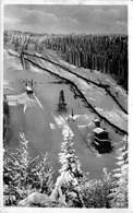 Delcampe - J0701 - FELDBERG Im SCHWARZWALD - ALLEMAGNE - Ski Station - Feldberg
