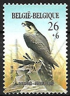 Belgium - MNH ** 1987 :  Peregrine Falcon  -  Falco Peregrinus - Hiboux & Chouettes