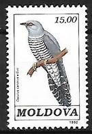 Moldova - MNH ** 1992 :     Common Cuckoo  -  Cuculus Canorus - Kuckucke & Turakos