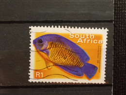 FRANCOBOLLI STAMPS SUD AFRICA SOUTH SUID 2000 USED SERIE PESCI FISH OBLITERE' - Oblitérés