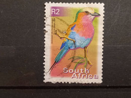 FRANCOBOLLI STAMPS SUD AFRICA SOUTH SUID 2000 USED SERIE  UCCELLI BIRDS OBLITERE' - Used Stamps