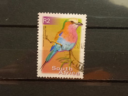 FRANCOBOLLI STAMPS SUD AFRICA SOUTH SUID 2000 USED SERIE  UCCELLI BIRDS OBLITERE' - Usati