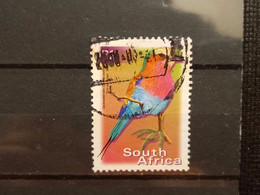 FRANCOBOLLI STAMPS SUD AFRICA SOUTH SUID 2000 USED SERIE  UCCELLI BIRDS OBLITERE' - Usados