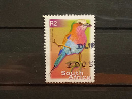 FRANCOBOLLI STAMPS SUD AFRICA SOUTH SUID 2000 USED SERIE  UCCELLI BIRDS OBLITERE' - Used Stamps