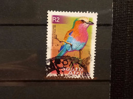 FRANCOBOLLI STAMPS SUD AFRICA SOUTH SUID 2000 USED SERIE  UCCELLI BIRDS OBLITERE' - Usados