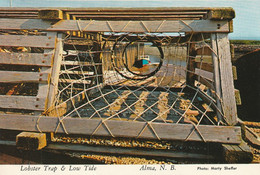 Lobster Trap & Low Tide,  Alma, New Brunswick - Autres & Non Classés