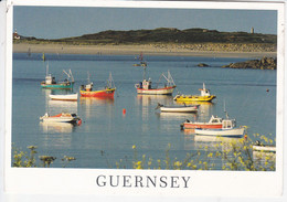 GUERNSEY, Le Grande Havre Towards Ladies Bay, Port, Bateaux De Pêche Et De Plaisance, Ed. Jill Vaudin 2008 - Guernsey