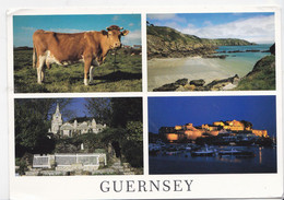 GUERNSEY, 4 Vues Guernsey Cow (vache), Petit Bot,Little Chapel, Castel Cornet, Ed. Jill Vaudin 1990 Environ - Guernsey