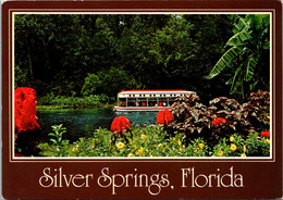 Florida Silver Springs Electrically Propelled Glass Bottom Boat - Silver Springs