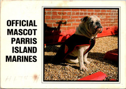 South Carolina Parris Island Official Mascot Of The Marines "Thor" Bulldog 1989 - Parris Island