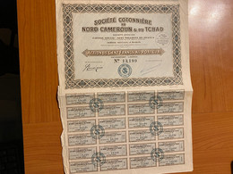 FRANCE - SOCIÉTÉ COTONNIÈRE DU NORD CAMEROUN ET DU TCHAD -ACTION DE 100 F AU PORTEUR - AVEC COUPONS - Textil