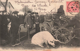 CPA Dax - Place Saint Pierre Un Jour De Marché - Cochon - Cliché Balussaud - Oblitéré A Dax Et Alger En 1904 - Mercati