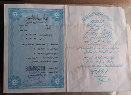 Egypt -   New Suez Canal Investment Certificate 2014 (Egypte) (Egitto) (Ägypten) (Egipto) (Egypten) - Storia Postale