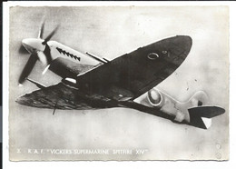 Avion Aircraft R.A.F. Royal Air Force VICKERS SUPERMARINE SPITFIRE XIV - 1939-1945: 2ème Guerre