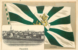 THURGAU-THURGOVIE -  Vue De Frauenfeld, Carte Gaufrée Illustrée, Avec Un Drapeau. - Frauenfeld