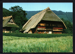 (RECTO / VERSO) VOGTSBAUEMHOF VON 1570 - IM GUTACHTAL - CPSM GF - Gutach (Schwarzwaldbahn)