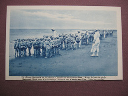 CPA Oeuvre Nationale De L'Enfance Colonie De KNOKKE KNOCKE SUR MER 1930 Plage Avant Le Bain De Pieds METIERS ENFANTS - Knokke