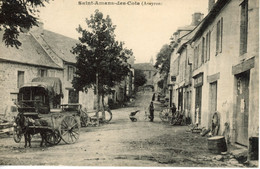 SAINT AMANS DES COTS UNE RUE  ANE CARRIOLE ATTELAGE 1924 - Altri & Non Classificati