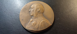 Médaille Souvenir Du Jubilé Du Baron De Montpellier, Représentant De Namur Gouverneur De La Province 1859-1909 - Belgique