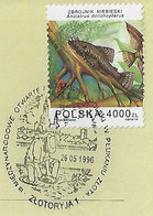 Poland 1996 Card With Commemorative Cancel Showing Man Gold Mining Geology In Zloryja - Minéraux