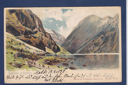 CPA Norvège Norge Circulé Voir Dos Tampon Précurseur Litho NAERO Fjord - Norwegen