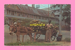 CPSM TRINIDAD  Coconut Vendor Port Of Spain - Trinidad