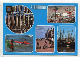 AK 104686 BELGIUM - Zeebrugge - Zeebrugge