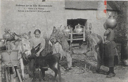 NORMANDIE - Visite à La Ferme - Anes - Fermes