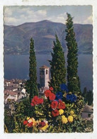 AK 104703 SWITZERLAND - Brissago - Lago Maggiore - Brissago