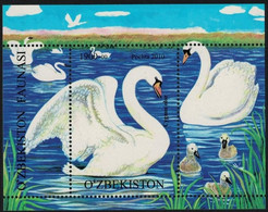 UZBEKISTAN 2010 FAUNA Animals BIRDS - Fine S/S MNH - Uzbekistan