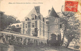 Flée     72        Le Château D'Ourne       (voir Scan) - Altri & Non Classificati