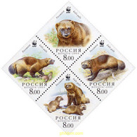 139236 MNH RUSIA 2004 WWF. GULO GULO - Used Stamps