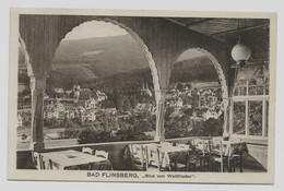 Bad Flinsberg, Blick V.d. Gaststätte Waldfrieden  Świeradów Zdrój Z Jadalni RESTAURACJI  1913y. X730 - Schlesien