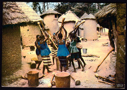 Ivory Coast 1969 / Afrique En Couleurs, Africa In Pictures / Group Of Women Grinding For Food - Côte-d'Ivoire