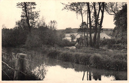 Cerfontaine - Le Moulin Et L'étang - Belgique Belgium - Cerfontaine