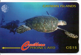 Tortue Tortoise Turtle Cayman Télécarte Islande  Phonecard  Telefonkarte (W 552) - Islande