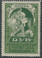 1923 RUSSIA ESPOSIZIONE AGRICOLA A MOSCA 2 R D. 12 1/2 MH * - SV11-5 - Unused Stamps