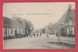 Merksplas - Zicht Op Het Dorp Van Merxplas ... Geanimeerd - 1910 ( Verso Zien ) - Merksplas