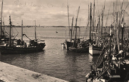 Port Louis * Le Port De Pêche * Bateaux Pêcheurs - Port Louis