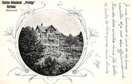 Herisau, Töchter-Pensionat "Freiegg", Um 1910 - Herisau