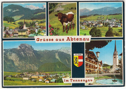 Grüsse Aus Abtenau Im Tennengau - (Österreich/Austria) - Abtenau