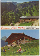 Ossmann Alpe, 1500 M - Hinterglemm - Salzburger Land - (Österreich/Austria) - HAUSZIEGE / GEIT / CHEVRE / GOAT - Saalbach