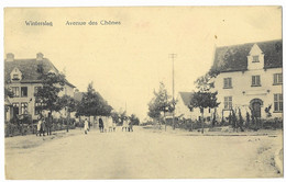 WINTERSLAG  -- Avenue Des Chênes - Genk